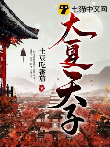 大夏天宫